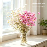 Natürlich Getrocknete Handgemachte Rodanthe-Chrysanthemen Trockenblumen-Arrangement für Abschlussfeier Weihnachten Chinesisches Neujahr Heimdekoration
