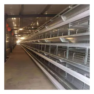 Egg layer chicken cage for south africa poultry H type battery cage philippines galvanized layer chicken cages