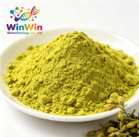 Extrait de Sophora Japonica naturel à 95 % en poudre, quercétine, fourni par l'usine