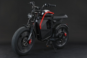 Bicicleta FEIWO Himoto MUMA, Nuevo Modelo con Llantas Gruesas de 20 Pulgadas, Aluminio, Batería de Litio de 15Ah/20Ah para Adultos, Bicicleta Estadounidense Himoto - Product Image 4