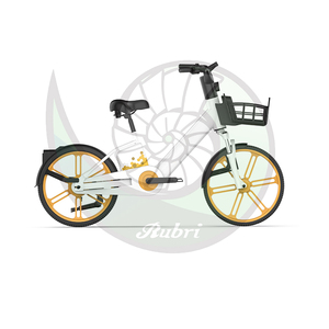 Cilindro de Hidrógeno con Capacidad de 0.39L para Bicicleta Rubri-H-Bike 200 - Product Image 2
