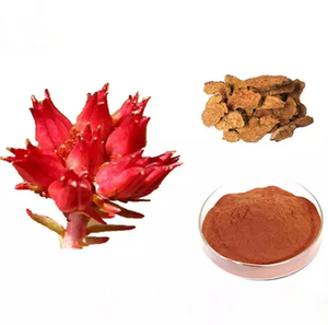 Herb Root Rhodiola <strong>Rosea</strong> <strong>Extract</strong> Red Powder Health Care Products 3% Salidroside - Product Image 4