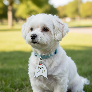 Medaglietta identificativa per cani di piccola taglia, modello Maltese, bianca con fiocco rosso. - Product Image 3