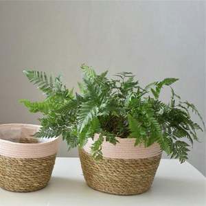 Cesta de Mimbre para Jardín, Cesta de Lavandería para Baño Pequeño, Cestas de Regalo de Bienvenida, Tipo Moisés, Baúl Tejido a Mano - Product Image 2