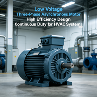 Moteur asynchrone triphasé AC en cuivre à haute efficacité pour pompe, refroidissement par ventilateur entièrement fermé, basse tension, usage industriel