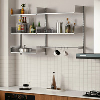 Système de rail mural réglable en acier inoxydable pour pots à épices de cuisine, rangement de casseroles et étagères de présentation pour salon
