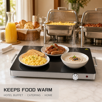 Mini chauffe-plats électrique 400W, plaque chauffante en acier inoxydable pour fêtes, plateau chauffant de comptoir pour buffet, contrôle de la température