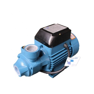QB60 pompes <span class=keywords><strong>à</strong></span> <span class=keywords><strong>eau</strong></span> 60HZ 110V <span class=keywords><strong>220V</strong></span> double tension Bomba de agua 1/2HP AC électrique périphérique centrifuge <span class=keywords><strong>petite</strong></span> <span class=keywords><strong>pompe</strong></span> <span class=keywords><strong>à</strong></span> <span class=keywords><strong>eau</strong></span> Vortex - Product Image 5