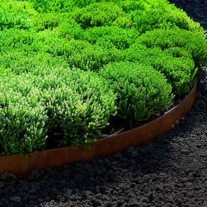 Bordure de jardin en acier Corten de haute qualité pour l'aménagement paysager - Product Image 2