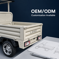 Vehículo Utilitario para Campo de Golf de 4 Ruedas, Cero Emisiones, Camioneta Eléctrica para Campo de Golf con Plataforma de Carga para Resort, OEM, Personalizado, Exportación
