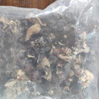 Champignons noirs séchés, champignons oreilles de chat blancs et croustillants, vente en gros pour salades et sautés