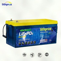 Batterie LiFePO4 Haute Capacité 51.2V 300AH 15KW Grade A Haute Tension 6K Cycles RV RS485 Terminal M8 CE RoHS IP67 Service OEM ODM