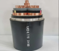 Câble d'alimentation blindé haute tension isolé XLPE avec conducteurs en aluminium et cuivre pour projets de réseaux électriques souterrains
