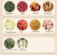 Tisane Naturelle aux 18 Saveurs pour le Soutien Hépatique et la Santé Oculaire – Thé Détoxifiant Purifiant en Sachet – Complément Bien-être Marque Blanche