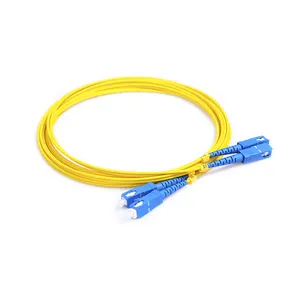 Optical Fiber Fc Sc Apc Upc 2.0mm 3.0mm Single Mode Fiber Optic Sc To Lc Patchcord