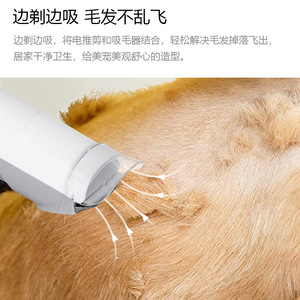 Tondeuse électrique pour poils d'animaux, tondeuse à piles rechargeables pour chiens, kit de toilettage blanc - Product Image 3