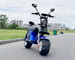 Scooter électrique brésilien Harley Citycoco, nouveau modèle avec moteur avant sans balais de 1000W, 60V20Ah, pneus larges, best-seller au Brésil - Product Image 5