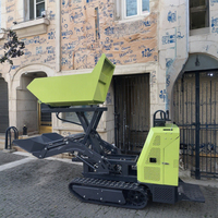 Mini-chargeur sur chenilles pour petite exploitation agricole, transporteur, grimpeur, hydraulique, moteur diesel/essence, benne basculante, mini-dumper sur chenilles
