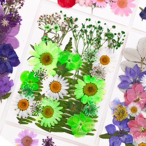 28 pièces résine décor artisanat en vrac Kit <span class=keywords><strong>pas</strong></span> <span class=keywords><strong>cher</strong></span> naturel sec fleurs feuilles bricolage roses pressées pour Scrapbook bougies <span class=keywords><strong>Rose</strong></span> pétale feuille Type - Product Image 6