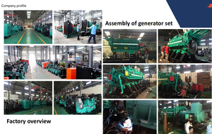 גנרטור גז טבעי 1000 קילוואט, גנרטור גז טבעי LNG CNG LPG - Product Image 2