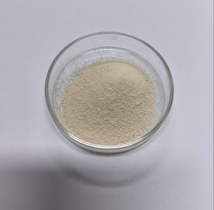 Matière première thermostable de poudre de probiotiques de haute puissance de Saccharomyces Boulardii HS5 d'approvisionnement d'usine à bon prix - Product Image 1