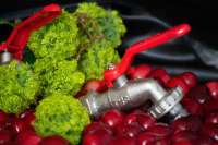 Messing-Gartenwasserhahn 1 Zoll mit Schlauchanschluss |   Langlebiger Außenwasserhahn |   THS Thermostyle ®