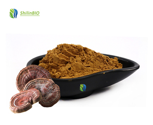 תמצית פטריית ריישי איכותית של SLBIO באבקה ביחסים 10:1, 20:1, 30:1, תמצית גנודרמה לוסידום - Product Image 2