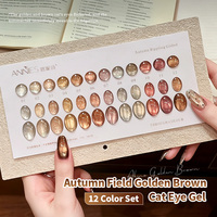Vernis à ongles gel effet œil de chat brun doré 12 couleurs, ambre noir, caramel, café, satiné, perles de verre, gel œil de chat nécessitant une lampe UV pour sécher