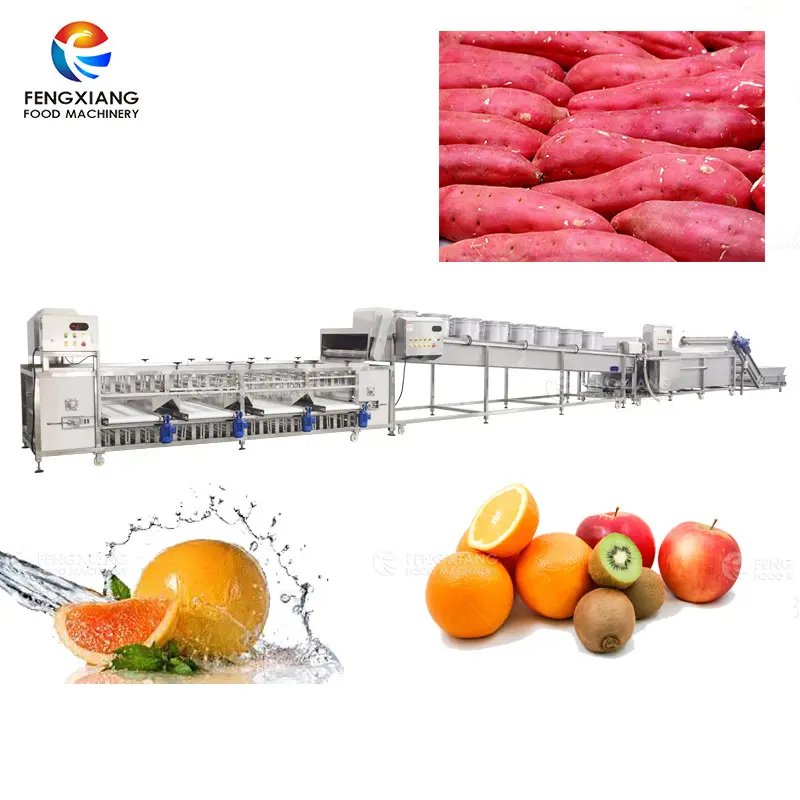 Fengxiang Industrial Fruit Processing Line Orange/Sweet Potato/Apple Washing Dewatering Grading Sorting Machine