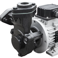 Pompe magnétique chimique en acier inoxydable YS-15 pour usine, vente en gros, haute efficacité, haute pression, petite pompe à eau de surface