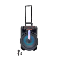 Machine de karaoké avec microphone sans fil à télécommande 5.0, subwoofer de 12 pouces, éclairage LED RVB, alimentation par batterie 20W