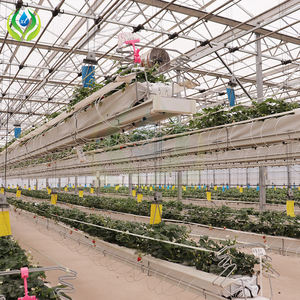 Myxl Grondloze Aardbeienkas Hydrocultuur Systeem Met Irrigatie - Product Image 2