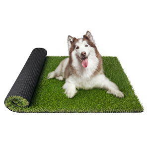 Alfombra de césped artificial 3G de <span class=keywords><strong>segunda</strong></span> <span class=keywords><strong>mano</strong></span> en Dubái - Product Image 6