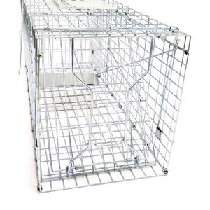 <span class=keywords><strong>Cage</strong></span> de piège pour animaux sans cruauté Possum renard Koala lapin oiseau chat <span class=keywords><strong>Cage</strong></span> de piège de capture vivante - Product Image 3