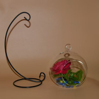Boules décoratives suspendues en verre Terrarium pour plantes avec support en métal Boule suspendue en verre avec décoration en corde en gros