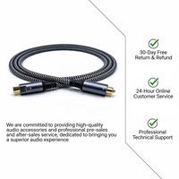 Câble audio optique USB-C Toslink plaqué or avec blindage tressé de 2 m pour haut-parleur de voiture, ordinateur, lecteur DVD, HDTV