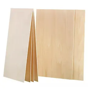 Kayu lapis Birch Baltik Premium yang belum selesai B/BB papan kayu lapis lapis kualitas desain grafis Modern E1 kayu lapis apartemen Birch 3 Mm 1 * 20GP
