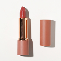 Crayon à Lèvres Imperméable Rose Nude Or Brillant à Lèvres Brillant à Lèvres Vente en Gros Marque Privée Vegan Mat Rouge à Lèvres de Haute Qualité