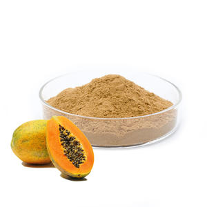 Harga pabrik ekstrak bubuk pepaya ORGANIK 100% ekstrak pepaya kualitas makanan larut dalam air - Product Image 1