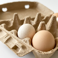 Boîte à œufs en pulpe de canne à sucre biodégradable pour 12 œufs, emballage écologique et dégradable pour l'agriculture et la vente au détail