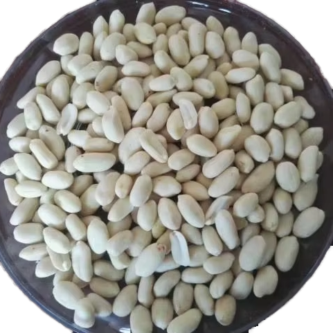 High Quality 3A Grade ISO Certified