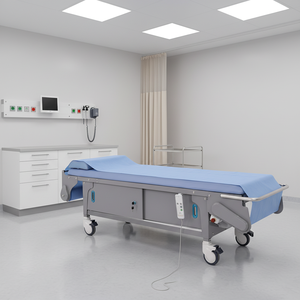 Camilla de Examen Médico Eléctrica Profesional de Clase II Raydow EX-YE3002(A)A4 con 2 Motores, Mesa de Ecografía con Cambio Automático - Product Image 1