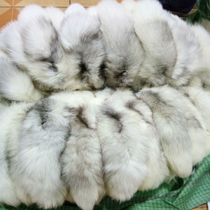 Queue de renard véritable en gros, <span class=keywords><strong>35</strong></span>-45 cm, queue de renard moelleuse, fourrure animale, pour accessoires de décoration, queue de renard moelleuse, porte-clés - Product Image 6