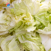 Máquina Industrial Cortadora de Vegetales, Picadora de Hojas de Col, Espinaca y Cebolla, 800KG/H, Planta de Procesamiento de Alimentos, Fábrica OEM