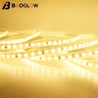 Tira de Luces LED Adhesivas, sin Controlador, Impermeables IP67, Ultrafinas, para Decoración de Jardines, Piscinas y Exteriores