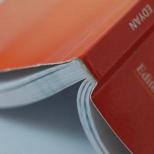 Impresión de Novelas con Encuadernación Perfecta Personalizada, Libro de Ficción de Suspenso con Tapa Blanda, Impresión al por Mayor - Product Image 1