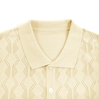 AiNear Großhandel Custom Logo Design Oem & Odm Kurzarm Polo Neck Hollow Out Button up Herren Baumwolle Strick Cardigan Sweater