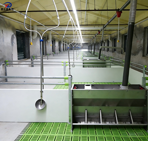 Пластиковые решетки для свиней, пластиковые полы для свиноферм, оборудование для свиноводства, прочее оборудование для животноводства - Product Image 2