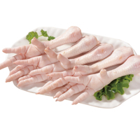 Pieds de poulet surgelés certifiés Halal, naturels, nettoyés et traités, qualité export directe usine, pour la vente en gros
