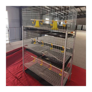 Cage à poulets ventilée de haute qualité avec système d'alimentation pour élevage avicole, équipement de ferme avicole, longue durée de vie - Product Image 2